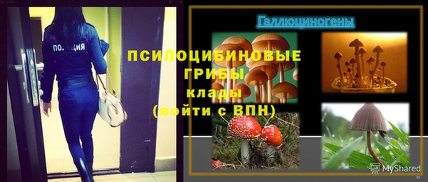бутират Вяземский