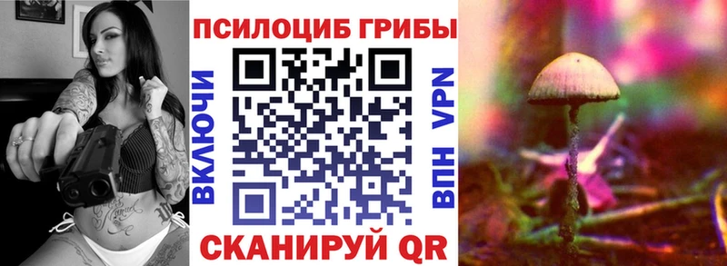 Псилоцибиновые грибы ЛСД  Новомосковск 