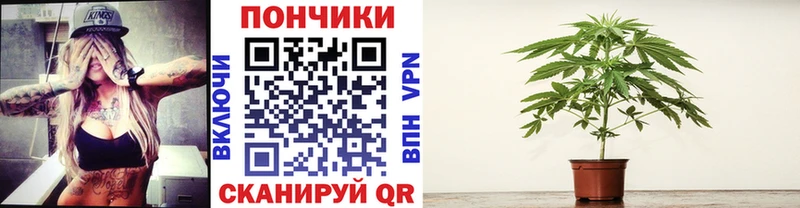 наркота  Новомосковск  Бошки марихуана THC 21% 
